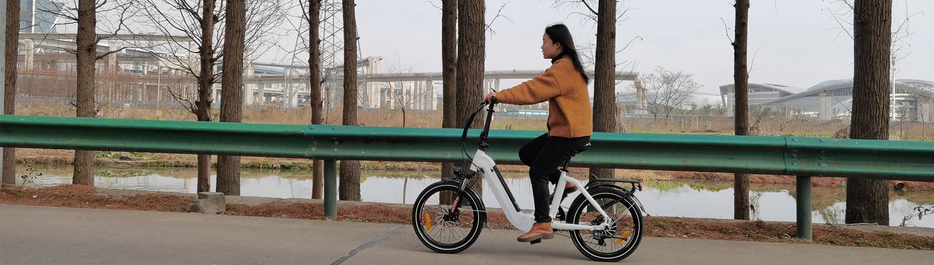 Electric City bike