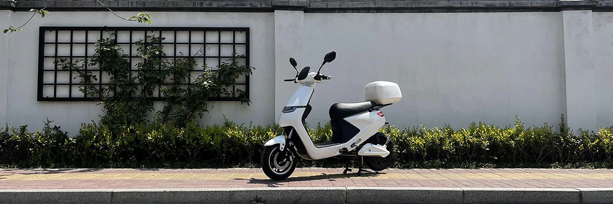 e-moped.jpg