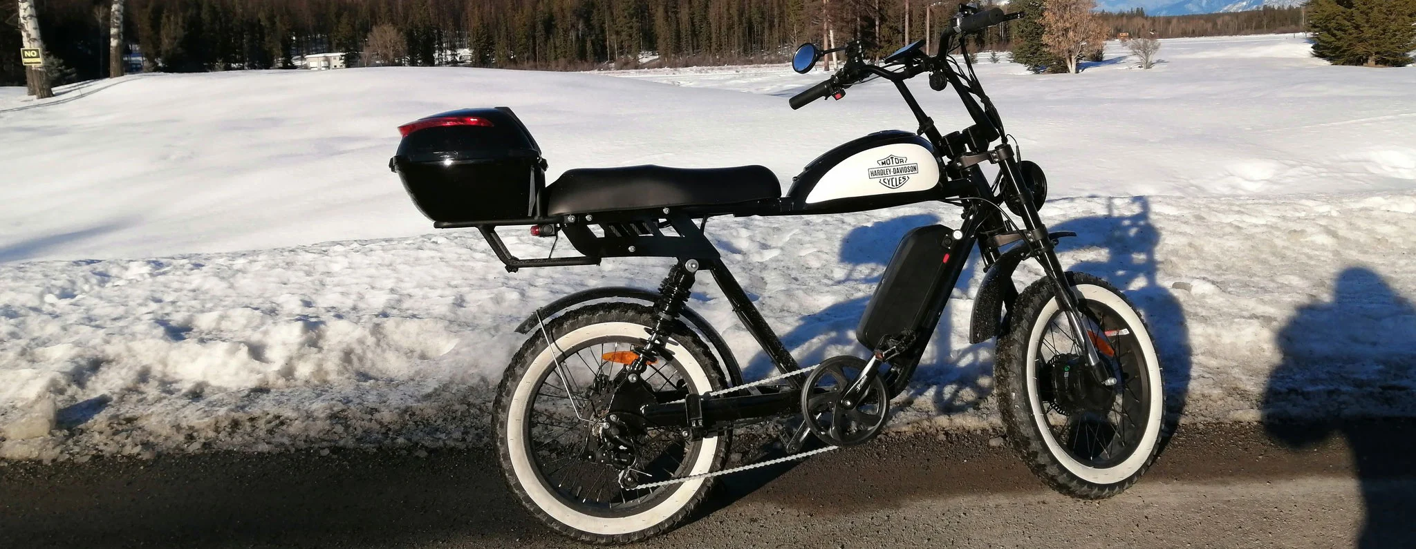 Retro Electric Moped Style Fat Tire Bike
