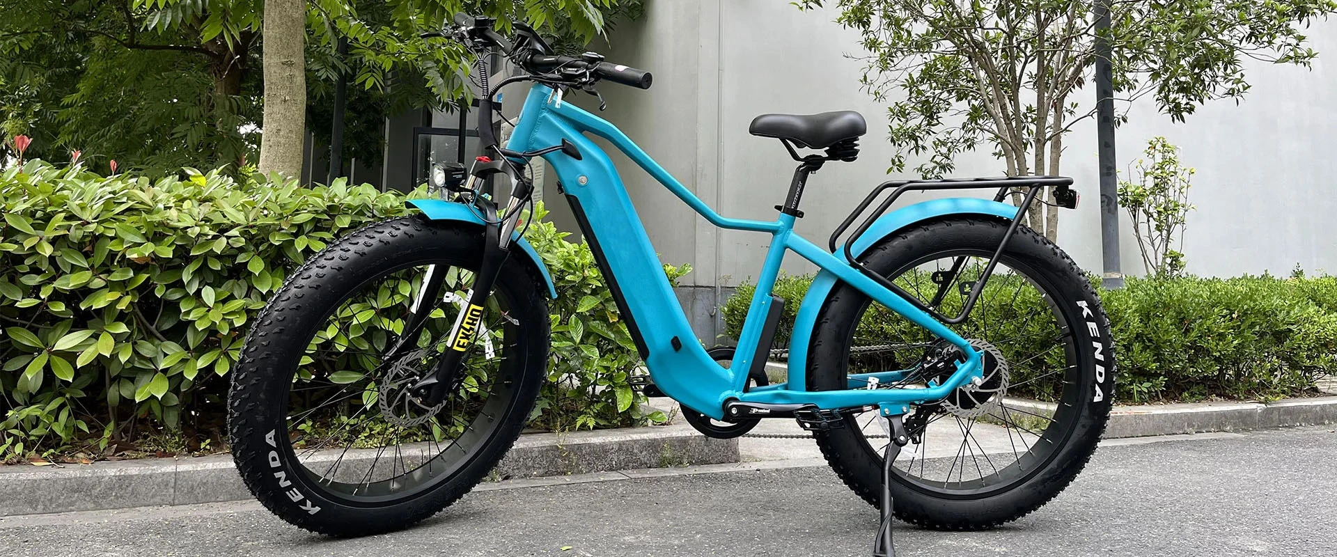 Geometry Of Beast Fat Tire Electric Mountain Bike-1.webp