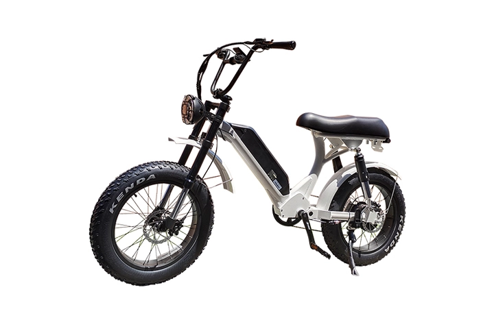 Best Fat Tire Electric Bike for Sand: Step Through Design