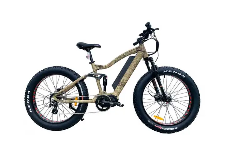 Mid Drive Fat Tire Ebike-3.webp