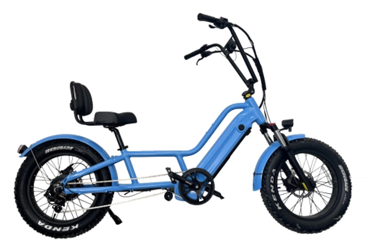 Electric Recumbent Bicycle - Comfort & Ease Redefined