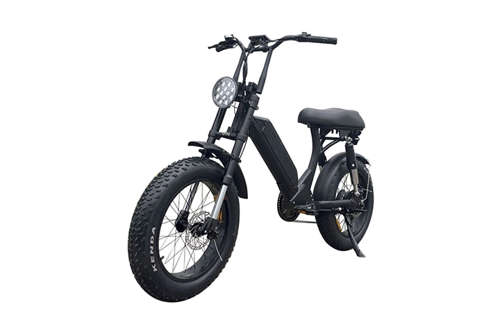 Moped Style Fat Tire Step Through Electric Bike