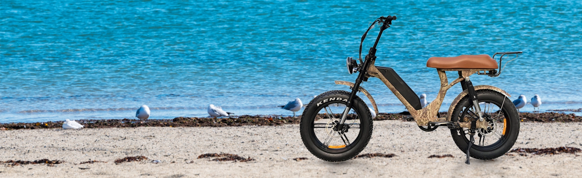 Best Fat Tire Electric Bike for Sand: Step Through Design