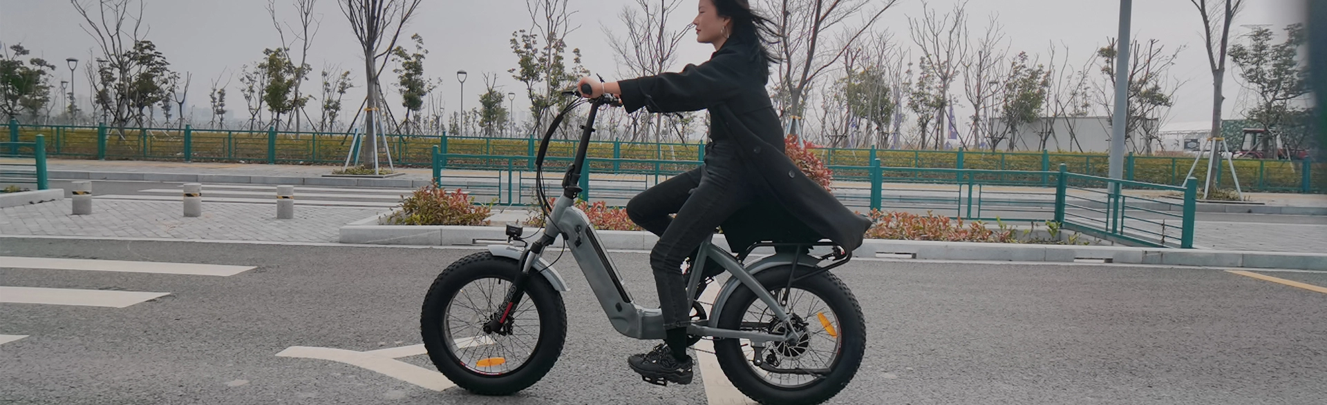 Best 20 Inch Folding Fat Tire Electric Bike