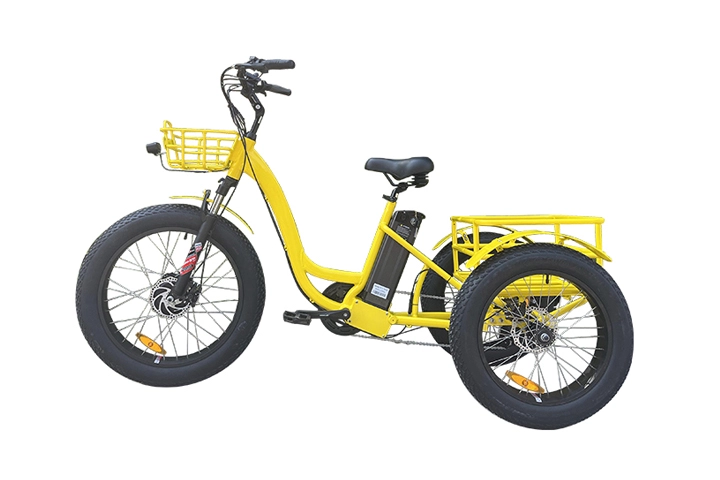 Electric Cargo Trike-3.webp
