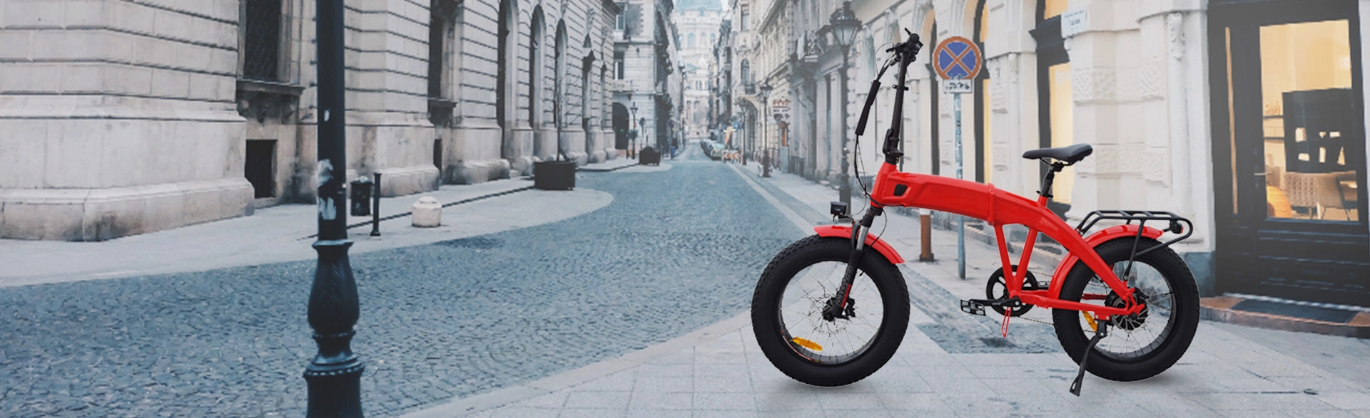 Folding Fat Tire Ebike - 500W Electric Bike