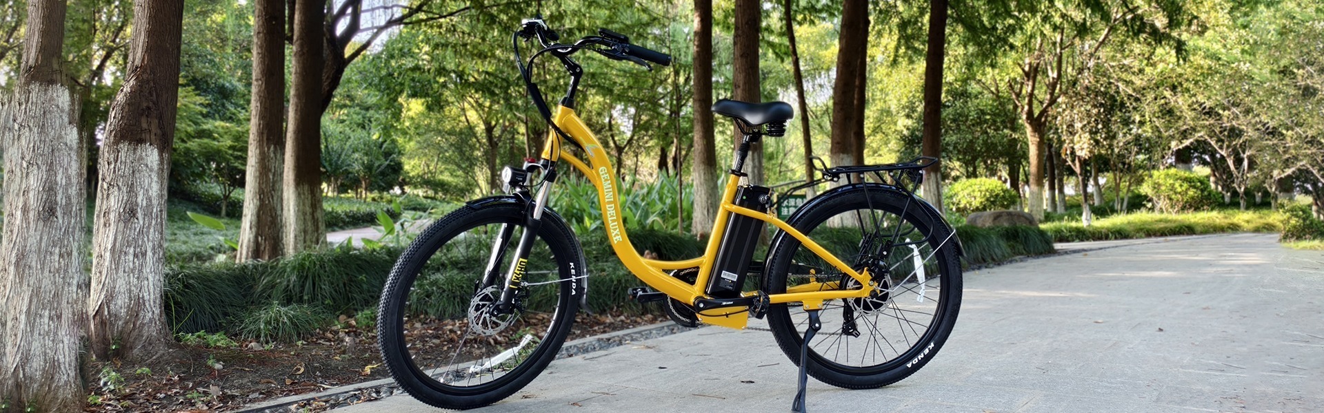 Electric City Bike: Step Thru Urban E-Bike