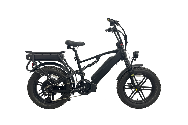 High Speed 2000W Electric Moped Bike for Adults