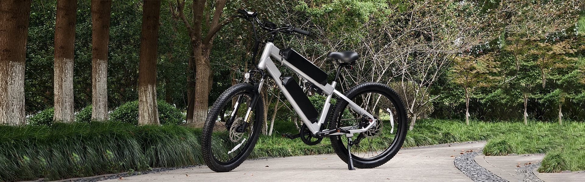 Dual-Battery Electric Mountain Bike - High Performance Ebike