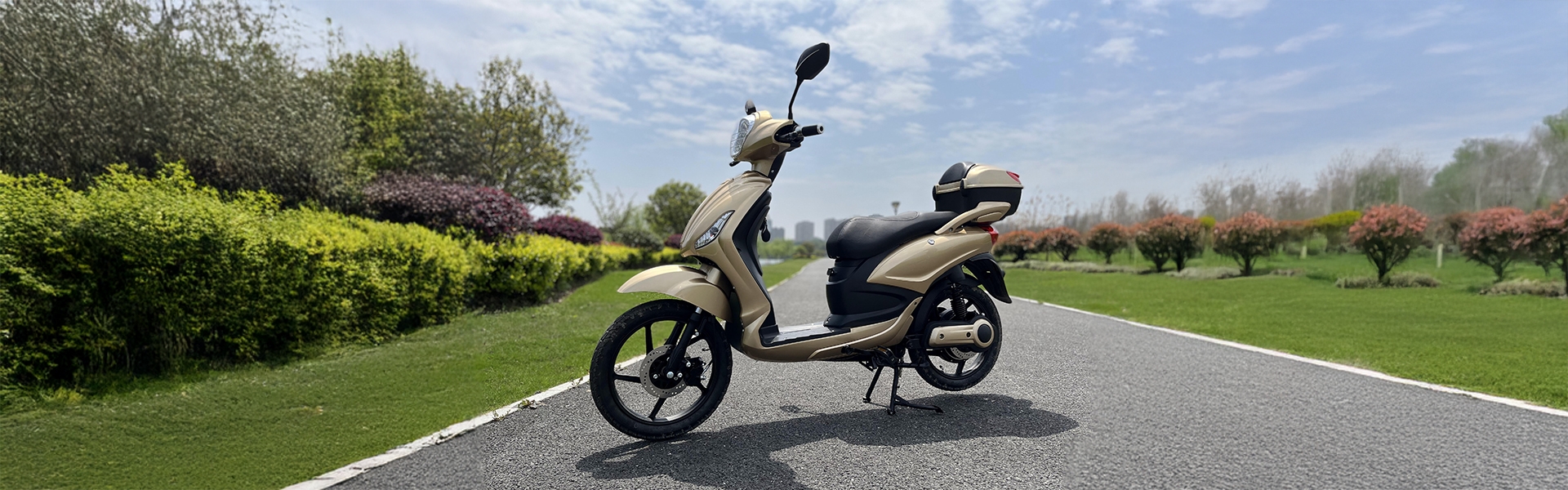 E-Moped with Pedals: Electric Moped for Adults