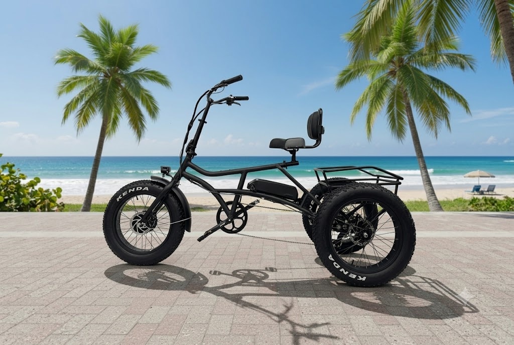 electric delivery bike.png