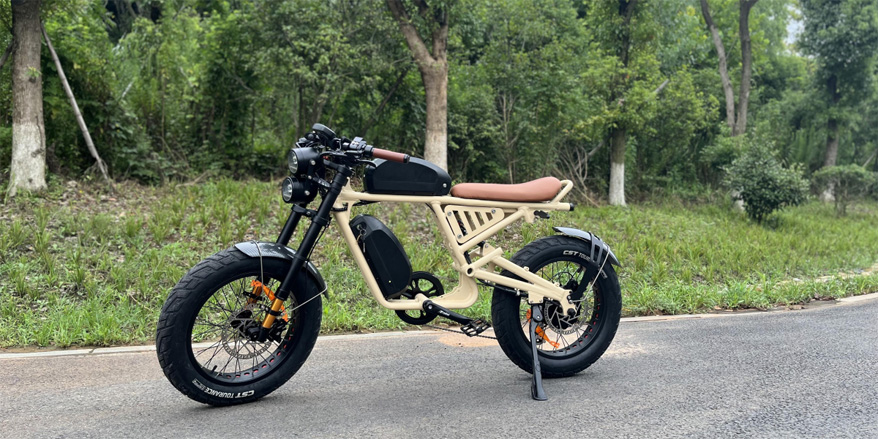 Exploring-the-Advantages-of-Dual-Battery-Electric-Bikes.jpg