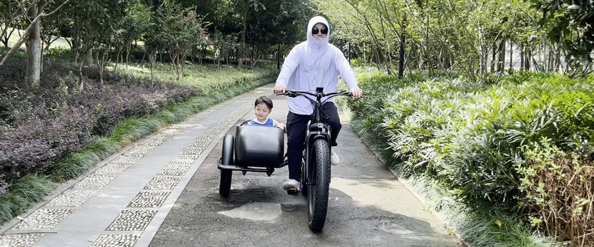 E Moped with Pedals E Moped with Pedals