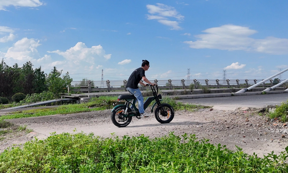 Exploring the Advantages of Dual Motor E-Bikes