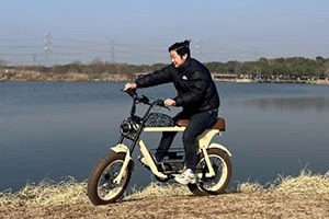 Revolutionizing Urban Mobility: The Rise of Electric Bicycles