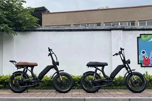 What Is Removable Battery Ebike?