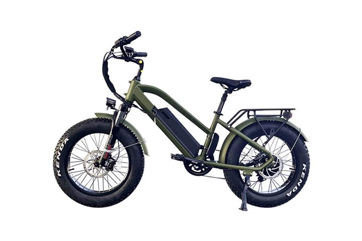 20 inch electric fat tire bike