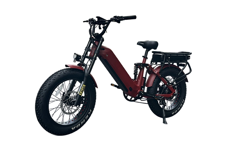 electric bike with fat tyres