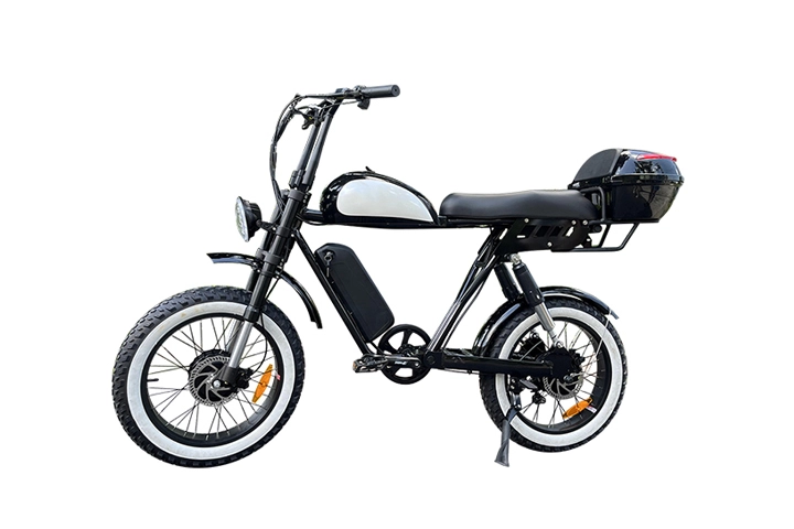 electric cycle with fat tyre