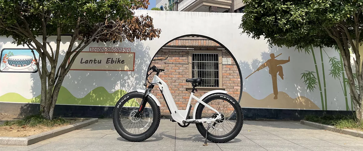 City Electric Fat Bike