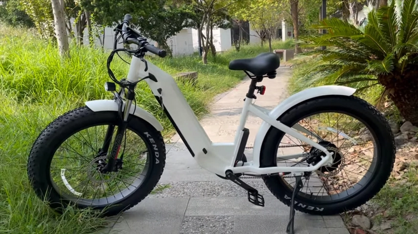 الصين أفضل خطوة من خلال الدراجة الكهربائية الدهون للسيدات