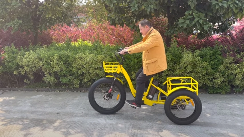 الصين أفضل مصنع دراجة ثلاثية العجلات الكهربائية