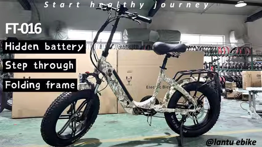 المورد الصيني OEM خطوة ملونة جديدة من خلال دراجة كهربائية قابلة للطي الإطارات الدهنية