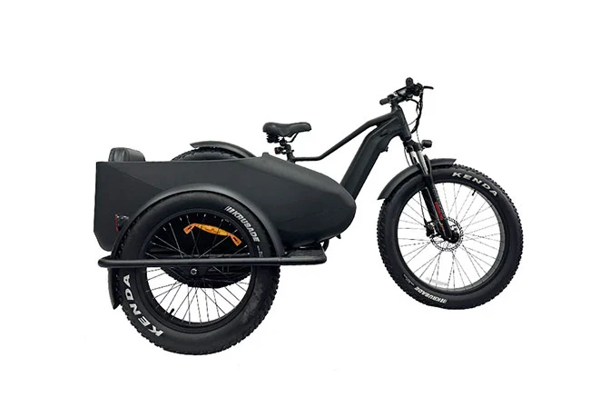 Electric Bike Sidecar