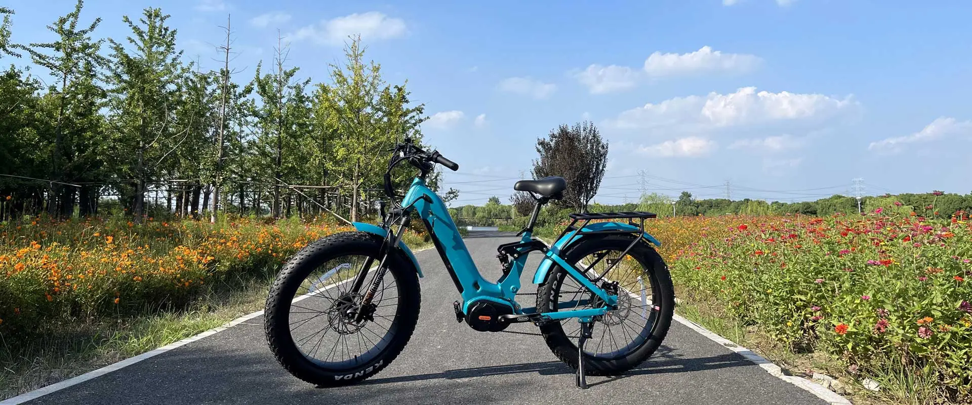 منتصف محرك خطوة من خلال Ebike